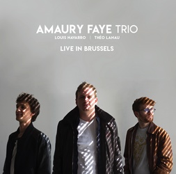 Amaury Faye Trio : Live in Brussels