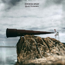 Amoeba Split : Quiet Euphoria