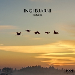 Ingi Bjarni : Farfuglar