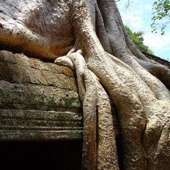 Angkor