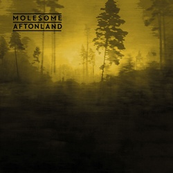 Molesome : Aftonland