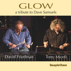 David Friedman & Tony Miceli : Glow / A Tribute to Dave Samuels