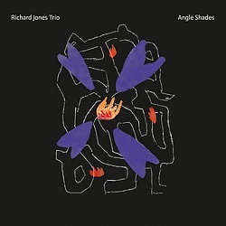 Richard Jones Trio : Angle Shades