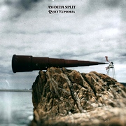 Amoeba Split : Quiet Euphoria