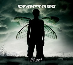 Carptree : Nymf